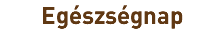 Egészségnap