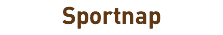 Sportnap