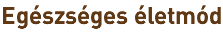 Egészséges életmód
