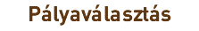 Pályaválasztás