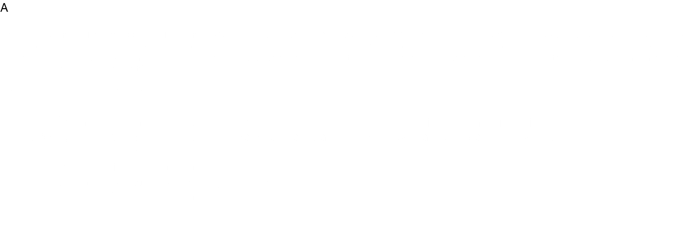 A PROJEKT CÉLJA A program az Emberi Erőforrás Operatív Program "A köznevelést és a nem formális képzést szolgáló infrastrukturális fejlesztések c. intézkedéséhez illeszkedik Az oktatásba, a készségekkel kapcsolatos képzésbe, szakképzésbe és az egész életen át tartó tanulásba történő beruházás oktatási és képzési infrastruktúrák kifejlesztésével" beruházási prioritás céljait szolgálva. A program alapvető célja a gyermekek oktatási rendszerben történő benntartása, az oktatási rendszerből végzettség nélküli kiesés minimalizálása, valamint a gyermekek felzárkóztatása. EGYÜTTMŰKÖDŐ PARTNEREK: Abigél Általános Iskola, Alapfokú Művészeti Iskola, Szakközépiskola, Szakgimnázium, Gimnázium és Kollégium Dél-Nyírségi Kistérségi Többcélú Önkormányzati Társulás Újfehértói Szociális Szolgáltató Központ Tükörcserepek Színjátszó Egyesület Szép Ernő Kollégiumért Alapítvány Volt Állami Gondozottak Országos Egyesülete Tett Középiskola Nyíregyháza Tanoda 
