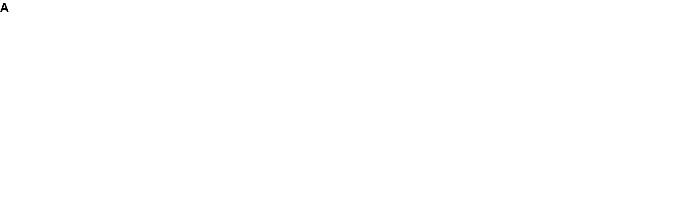 A PROJEKT MÉRFÖLDKÖVEI 2017.07.31. Bevonásra kerül 30 tanuló, nyitott tanodai programokon minimum 60 fő vesz részt. Két tanodán kívül program megvalósul, az együttműködési megállapodások megkötésre kerülnek, valamint kifizetési kérelmek kerülnek benyújtásra. 2018.04.30. Nyitott tanodai programokon legalább 120 fő vesz részt. Négy tanodán kívül program megvalósul. Kifizetési kérelem kerül benyújtásra. 2019.01.02. Nyitott tanodai programok megvalósulnak. A tervezett tevékenységek befejeződnek. 