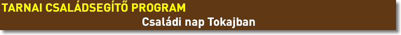 TARNAI CSALÁDSEGÍTŐ PROGRAM Családi nap Tokajban